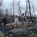 Arcadia Lost 015